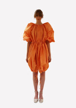 Load image into Gallery viewer, Baltimore Oriole Dress-Coat