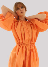 Load image into Gallery viewer, Baltimore Oriole Dress-Coat